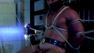 Muscular Guy Is Tied Up and Had His Testicles Stretchedgay